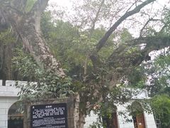 -友谊关景区