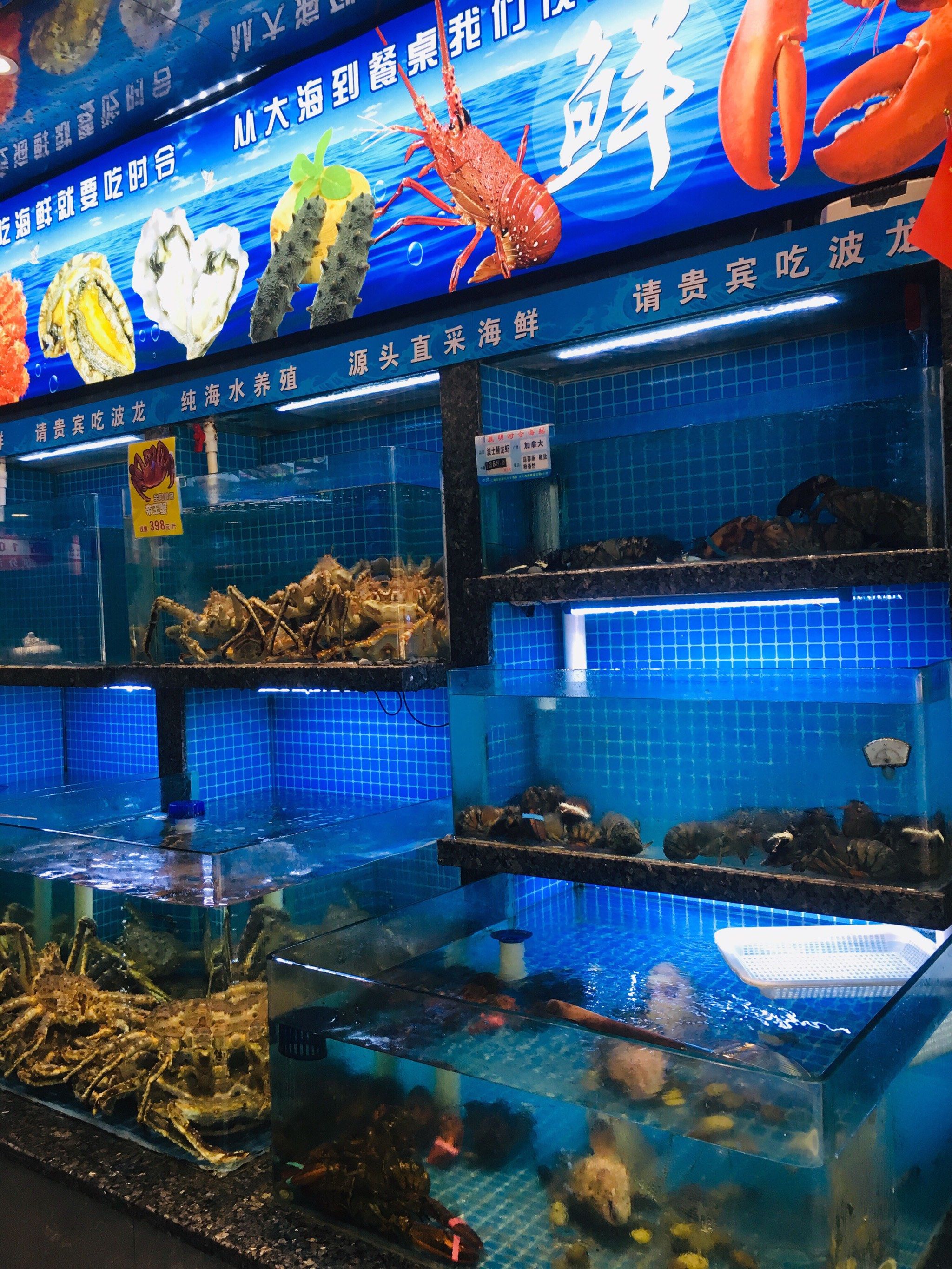 这家海鲜店真的太好吃了!