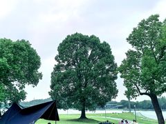 -上海月湖雕塑公园