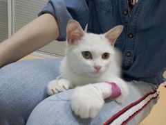 -瑞派·关忠动物医院(国瑞店)