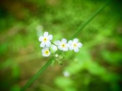 -碓臼峪自然风景区