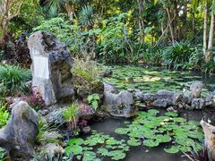 -中国科学院西双版纳热带植物园