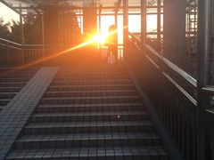 -127陈设艺术产业园-A座