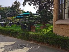 -大可堂普洱茶馆(襄阳南路馆)