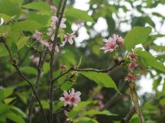 -龙环葡韵住宅式博物馆