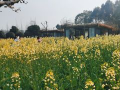 -洪湖家庭农场·团建·露营·会议