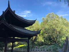 -小狗面馆(复兴店)