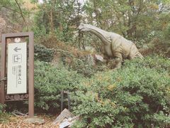 -木兰云雾山