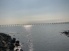 -宝安西湾红树林湿地公园