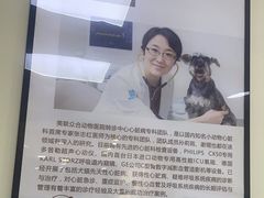 -美联众合动物医院·24h转诊中心