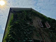 -思南书局(复兴中路店)