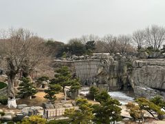 -中国唐苑