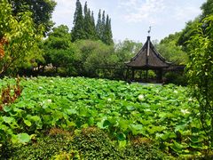 -上海醉白池公园