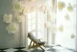 -星光贝贝(万达店)