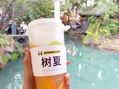 -树夏(锦里店)