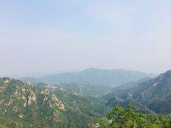 -大岭沟猕猴桃谷风景区