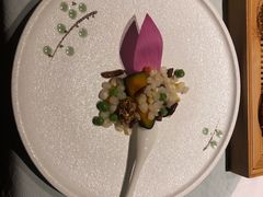 彩色水八珍-叶叶菩提·晋福宫