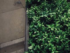 包房-麦当劳(龙湖时代天街店)