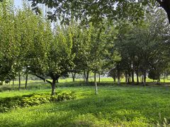 -汉长安城未央宫国家考古遗址公园