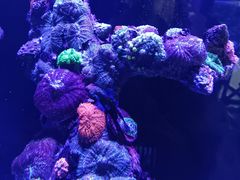 -海合安武汉极地海洋公园