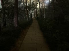 -九曜山