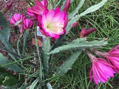 -南通洲际绿博园