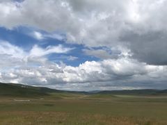 -郭莽湿地