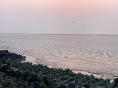 -南汇嘴观海公园