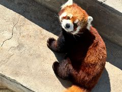 -水上乐园·欢乐世界