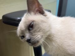 -天宠宠物医院24小时·急重症诊疗中心·全科·腔镜特色(和平分院)