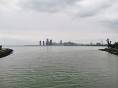 -万绿园