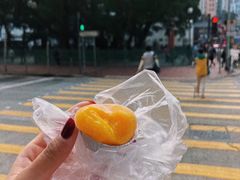 -彩虹村