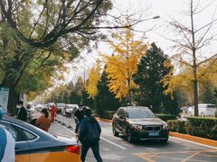 -中国中医科学院望京医院(院本部)
