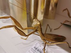 -ZARA HOME(天环广场店)