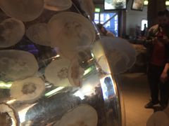 -西雅图水族馆
