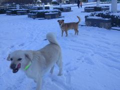 -唐山抗震纪念碑广场