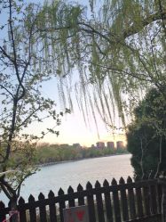 -鼎极摄影(世纪金源店)