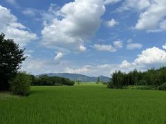 -良渚古城遗址公园