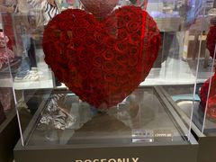 -ROSEONLY诺誓(广州K11店)