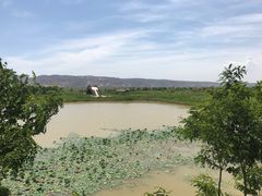 -处女泉风景名胜区