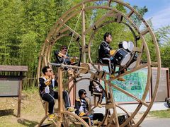 -黄海国家森林公园