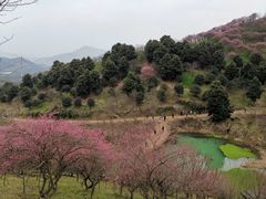 -蒋氏故居