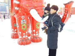 -沈阳奥体冰雪嘉年华
