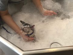 -PETKIT小佩宠物(古北店)
