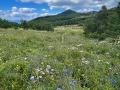 -白草畔自然风景区
