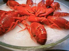 -红盔甲·小龙虾(天钥桥店)