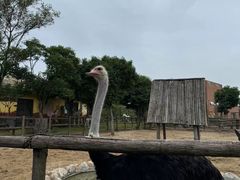 -祥源·阜阳生态乐园