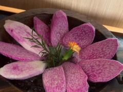 -季季山·云南野生菌火锅(上海首店)