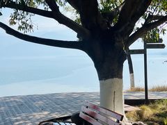 -西昌邛海湿地
