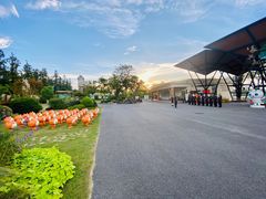 -上海长兴岛郊野公园